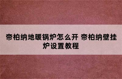 帝柏纳地暖锅炉怎么开 帝柏纳壁挂炉设置教程